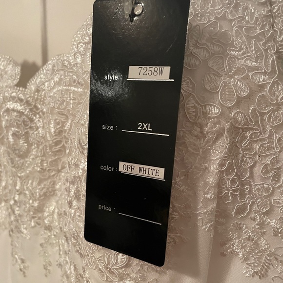 Lady Black Tie (Cinderella Divine) | Helena Wedding Gown - Picture 12 of 12